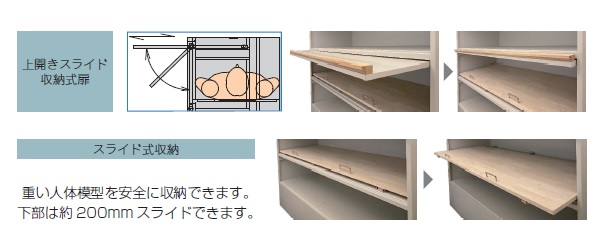 人体模型_抜粋